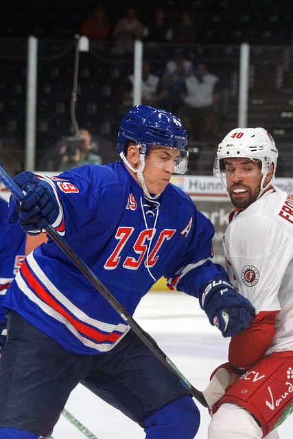 哪支球队能 哪支球队能