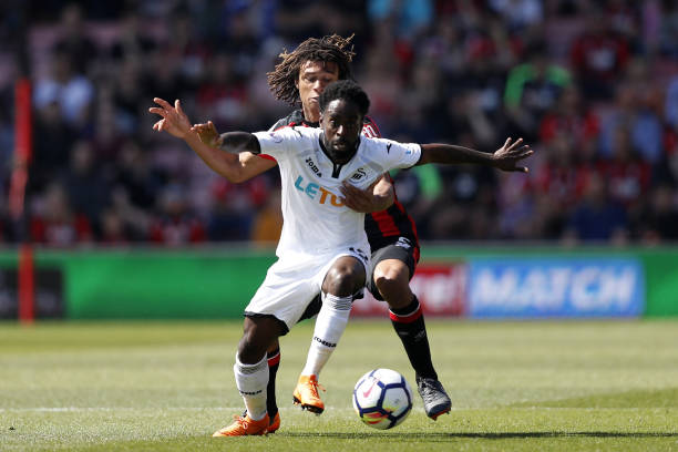 的美好展望 的美好展望